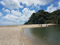 Foto von Grand Riviere beach und die siedlung