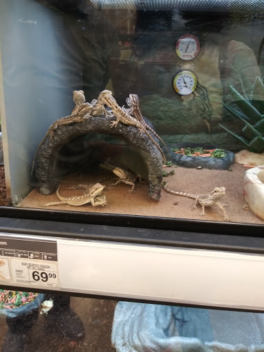 Pet Supply Store «Petco Animal Supplies», reviews and photos, 2565 NE 10th Ct, Homestead, FL 33035, USA