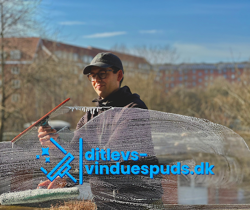 Ditlevs-vinduespuds.dk