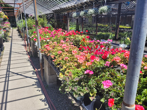 Plant Nursery «Goldner Walsh Garden and Home», reviews and photos, 559 Orchard Lake Rd, Pontiac, MI 48341, USA