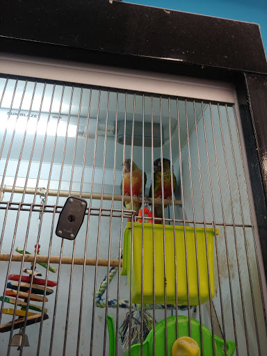Pet Supply Store «Pet Supplies Plus», reviews and photos, 14839 Detroit Ave, Lakewood, OH 44107, USA