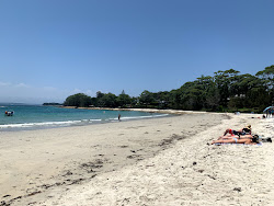 Foto von Collingwood Beach - beliebter Ort unter Entspannungskennern