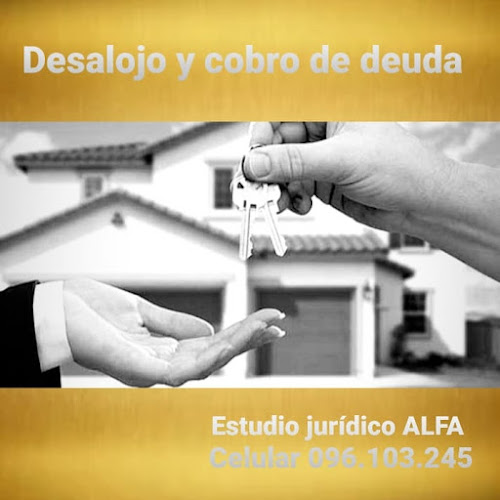 Estudio jurídico ALFA - Abogado