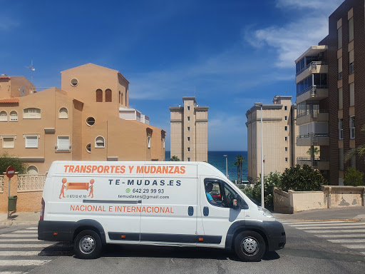 TE-MUDAS.ES – (Torrejón de Ardoz)