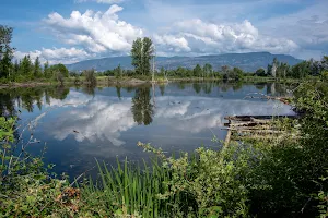 Munson Pond Park image