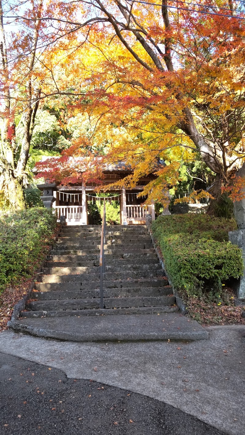 福城寺の大イチョウ