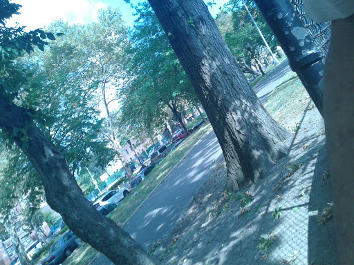 Park «Claremont Park», reviews and photos, Clay Ave & E. 170 St, Bronx, NY 10457, USA