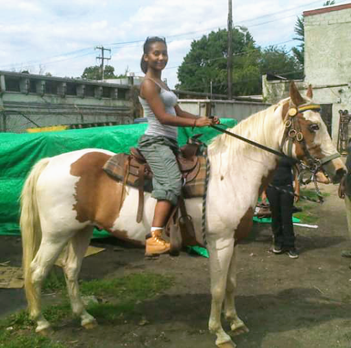 Horse riding in Philadelphia