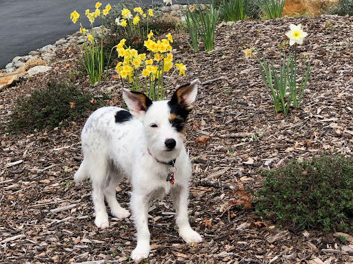 3275 Coach Ln F, Cameron Park, CA 95682, USA