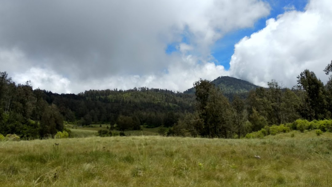 Sabana S Kasor - Sabana Sikasur - Taman Nasional Gunung Argopuro