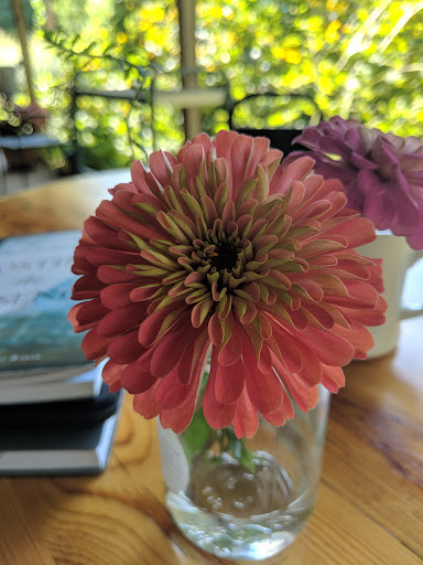 Grocery Store «Good Earth Market & Organic Farm», reviews and photos, 31806 Good Earth Ln, Ocean View, DE 19970, USA