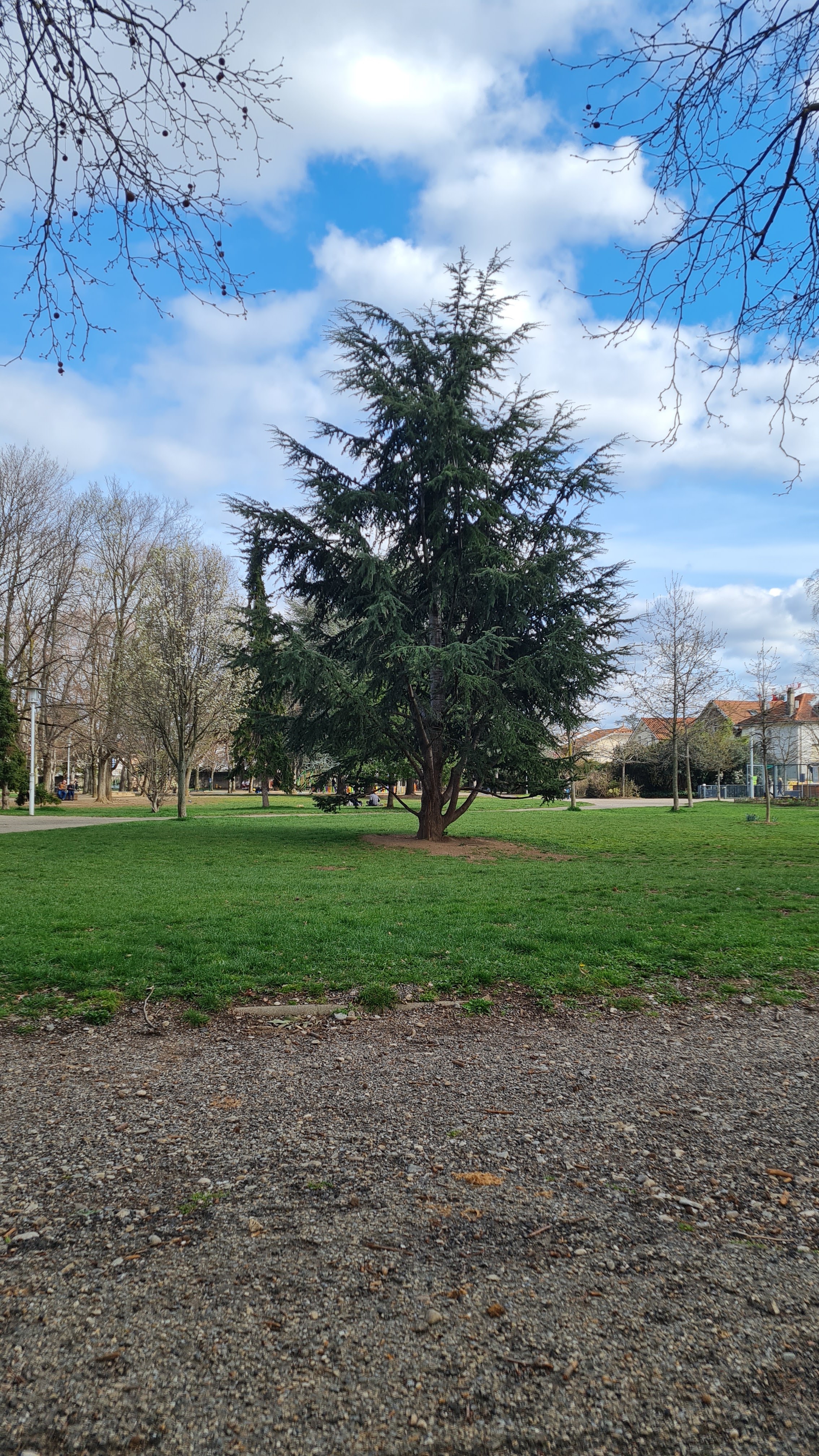Photo n° 1 de l'avis de Stéphanie.o fait le 22/03/2023 à 09:32