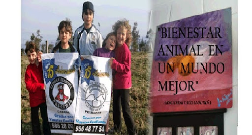 Centro Veterinario Val Da Louriña Sl en Peinador