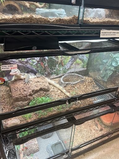 Pet Store «Pet Planet», reviews and photos, 11968 S Redwood Rd, Riverton, UT 84065, USA