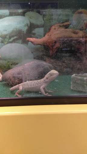 Pet Supply Store «Pet Supplies Plus», reviews and photos, 311 Sagamore Pkwy N, Lafayette, IN 47904, USA