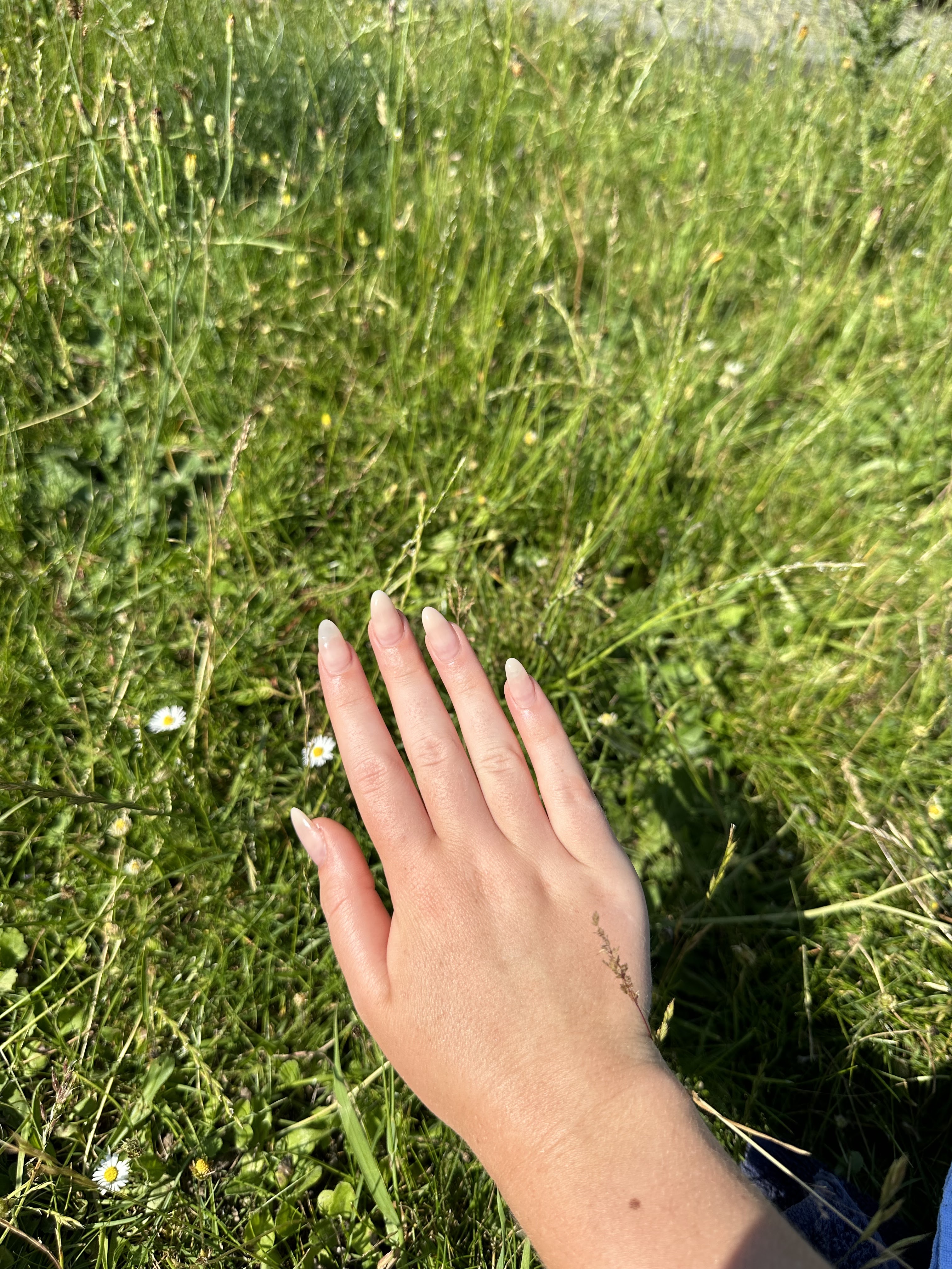 Photo n° 1 de l'avis de Emilie.h fait le 14/06/2023 à 15:05