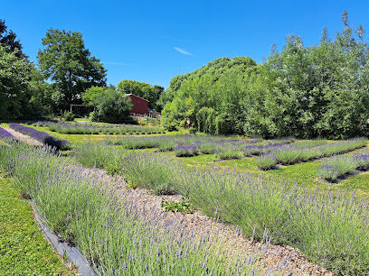 Lavender Crest Farms