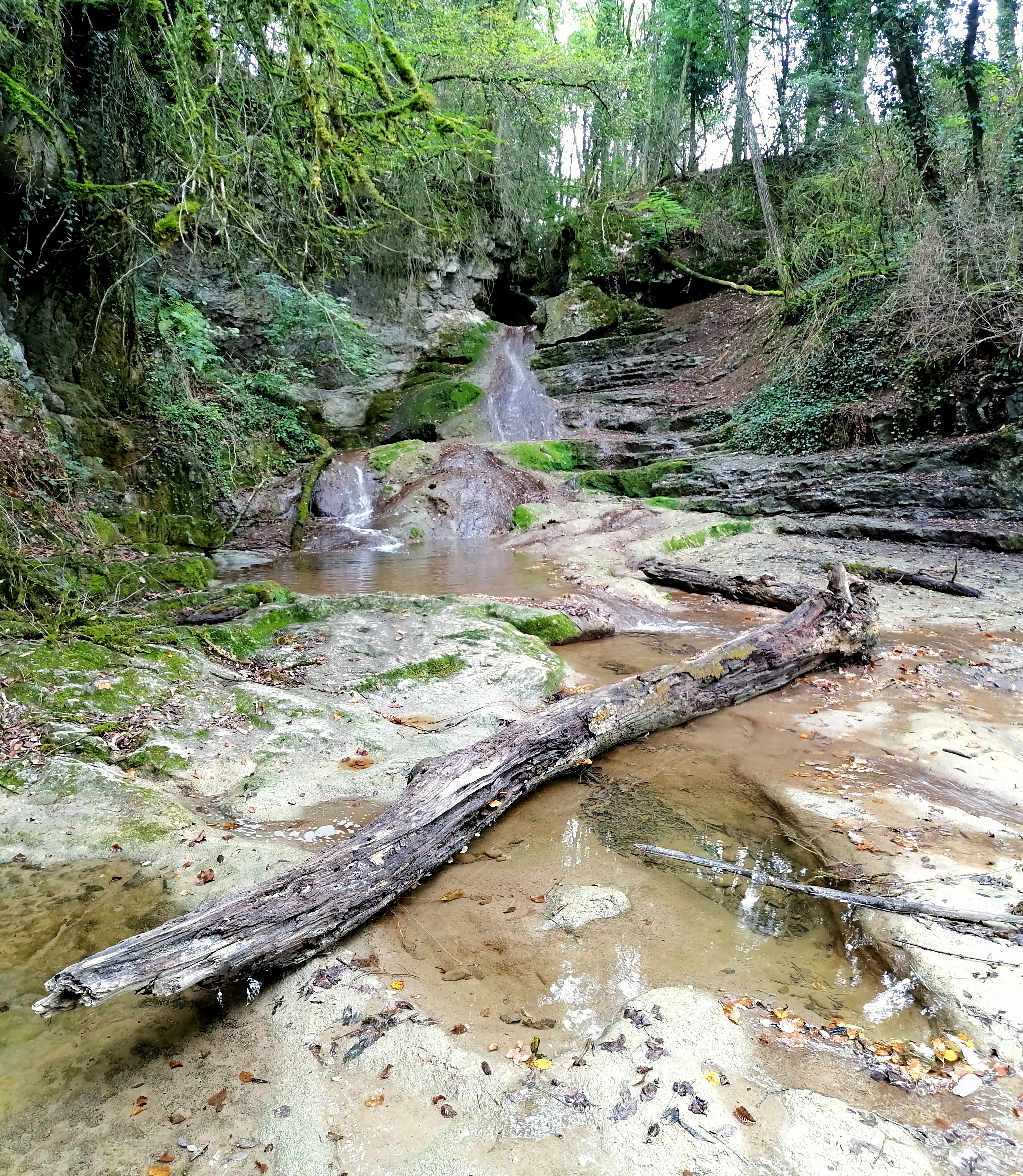 Photo n° 1 de l'avis de Cedric.a fait le 14/10/2022 à 13:56