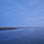 Photo n°16 de l'avis de Olena.o fait le 15/08/2022 à 14:09 sur le  Ristorante JO Bistrot à Marano Lagunare