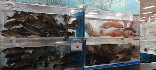 Shopping Mall «San Gabriel Square», reviews and photos, 140 W Valley Blvd, San Gabriel, CA 91776, USA