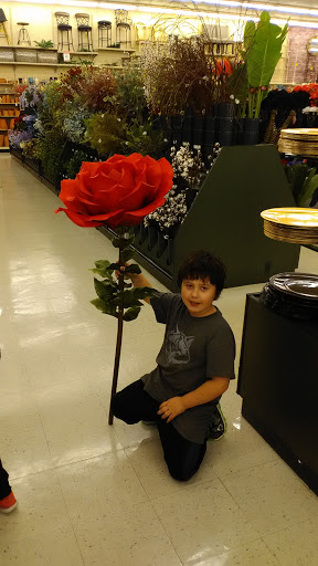 Craft Store «Hobby Lobby», reviews and photos, 1855 Montgomery Hwy #100, Hoover, AL 35244, USA