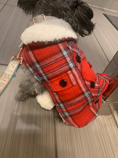 Pet Supply Store «Pet Food Express», reviews and photos, 3160 20th Ave, San Francisco, CA 94132, USA