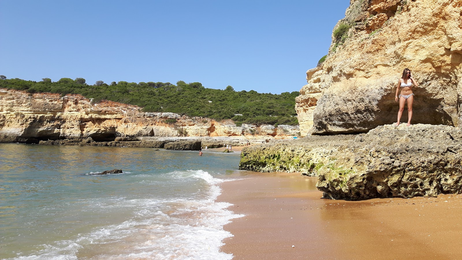 Praia do Barranco'in fotoğrafı vahşi alan