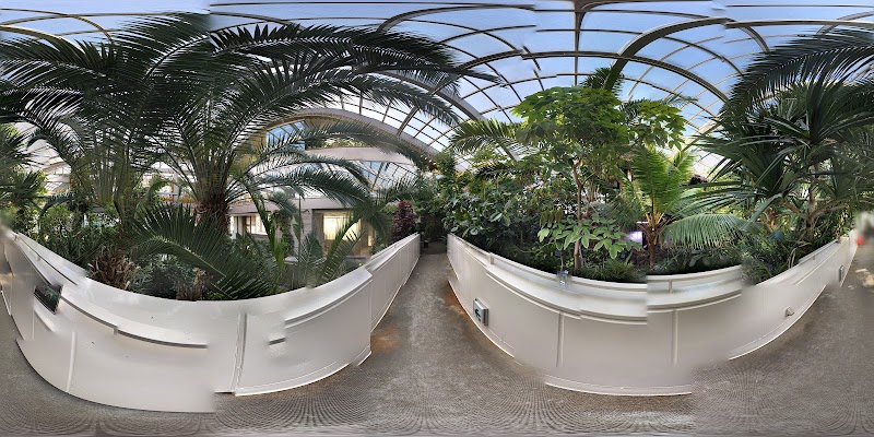 板橋区立熱帯環境植物館 東京都板橋区高島平 公園 グルコミ