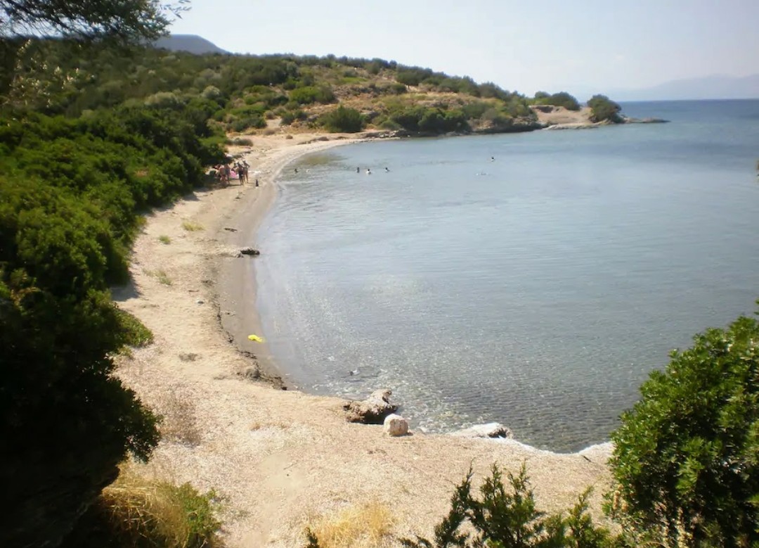Foto av Lefka beach med musta hiekka ja kivi yta