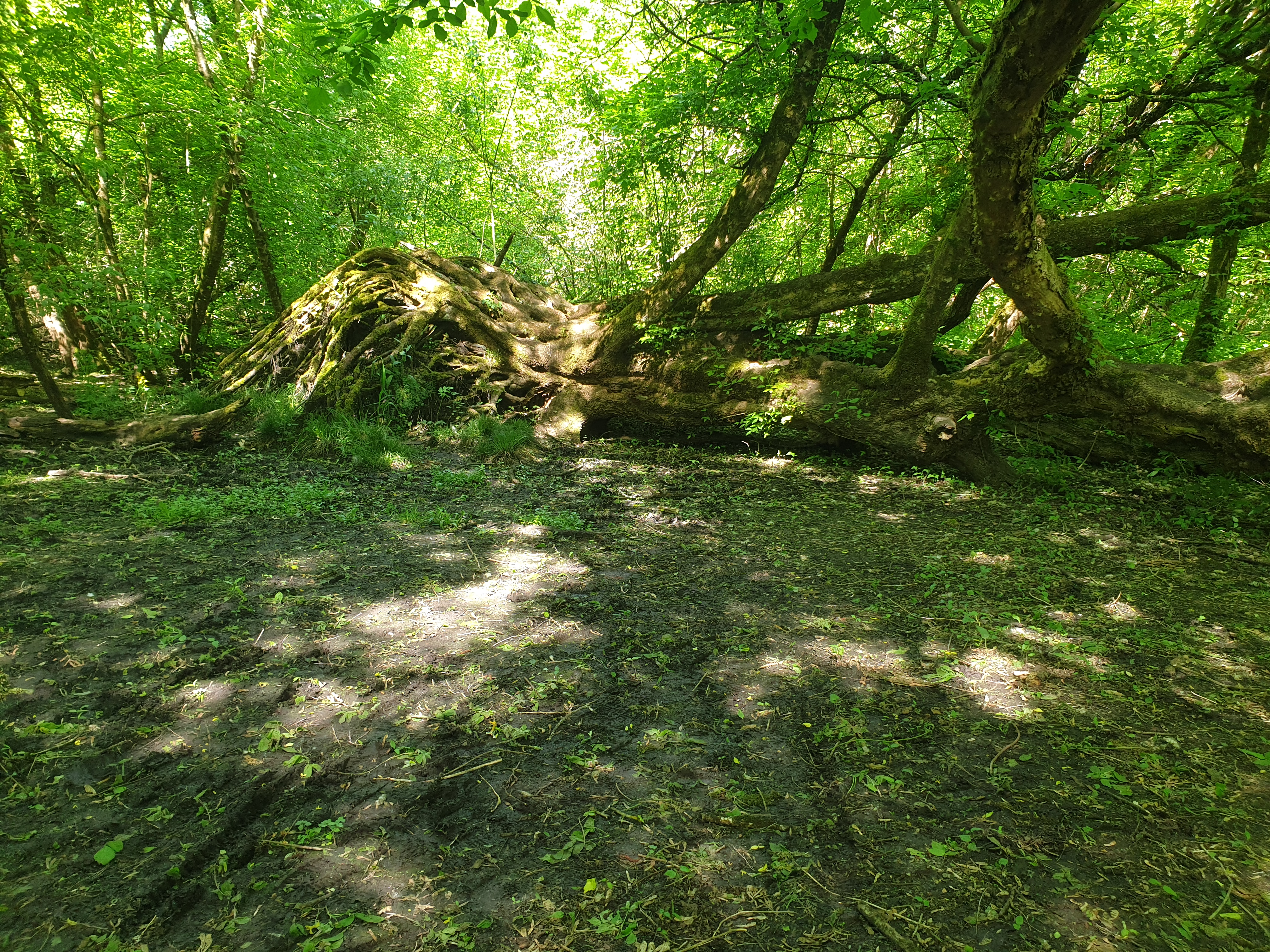 Photo n° 1 de l'avis de Fil.e fait le 17/04/2022 à 15:55