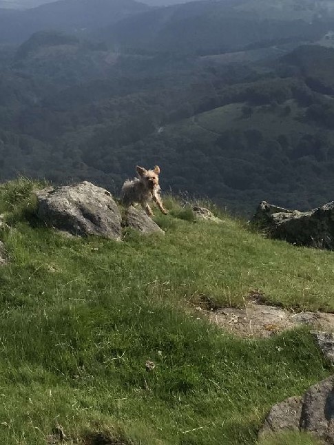 Photo n° 1 de l'avis de Stéphanie.e fait le 18/07/2018 à 14:06