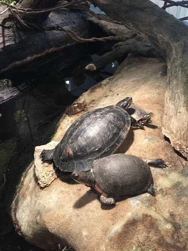 Science Museum «South Shore Natural Science Center», reviews and photos, 48 Jacobs Ln, Norwell, MA 02061, USA