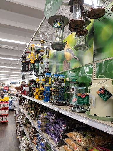 Hardware Store «Classic Ace Hardware», reviews and photos, 1622 Woodruff Rd, Greenville, SC 29607, USA