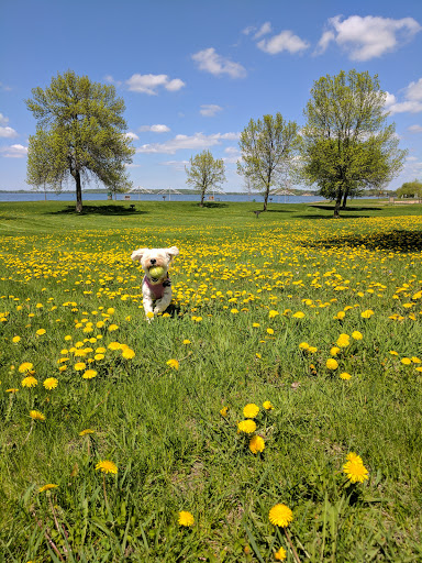 Park «Lake Waconia Regional Park», reviews and photos, 8170 Paradise Ln, Waconia, MN 55387, USA