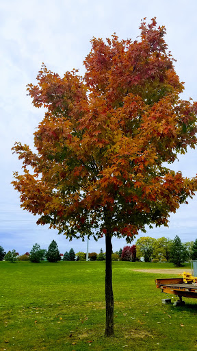 Park «Hines Park», reviews and photos, 7651 N Merriman Rd, Westland, MI 48185, USA