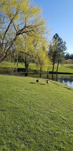 Golf Course «Adams Springs Golf Course», reviews and photos, 14347 Snead Ct, Cobb, CA 95426, USA