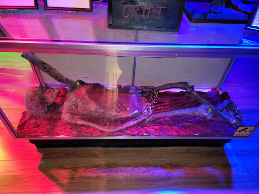 Book Store «Protean Books & Records», reviews and photos, 836 Leadenhall St, Baltimore, MD 21230, USA