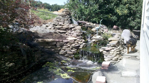 Garden Center «Lake Anna Nursery», reviews and photos, 71 Oak Grove Dr, Mineral, VA 23117, USA