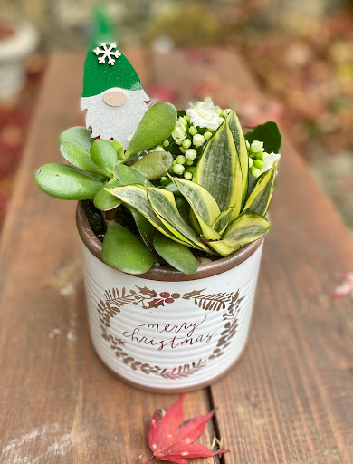 Florist «Carmel Flower Shop», reviews and photos, 1908 US-6, Carmel, NY 10512, USA