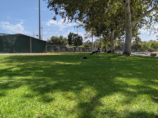 Pickleball court Orange