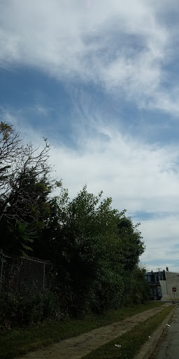 Laundromat «7 Laundry», reviews and photos, 1920 E Sedgley Ave, Philadelphia, PA 19124, USA