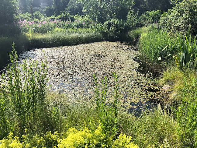 Rezensionen über Garten Park in Davos - Gartenbauer