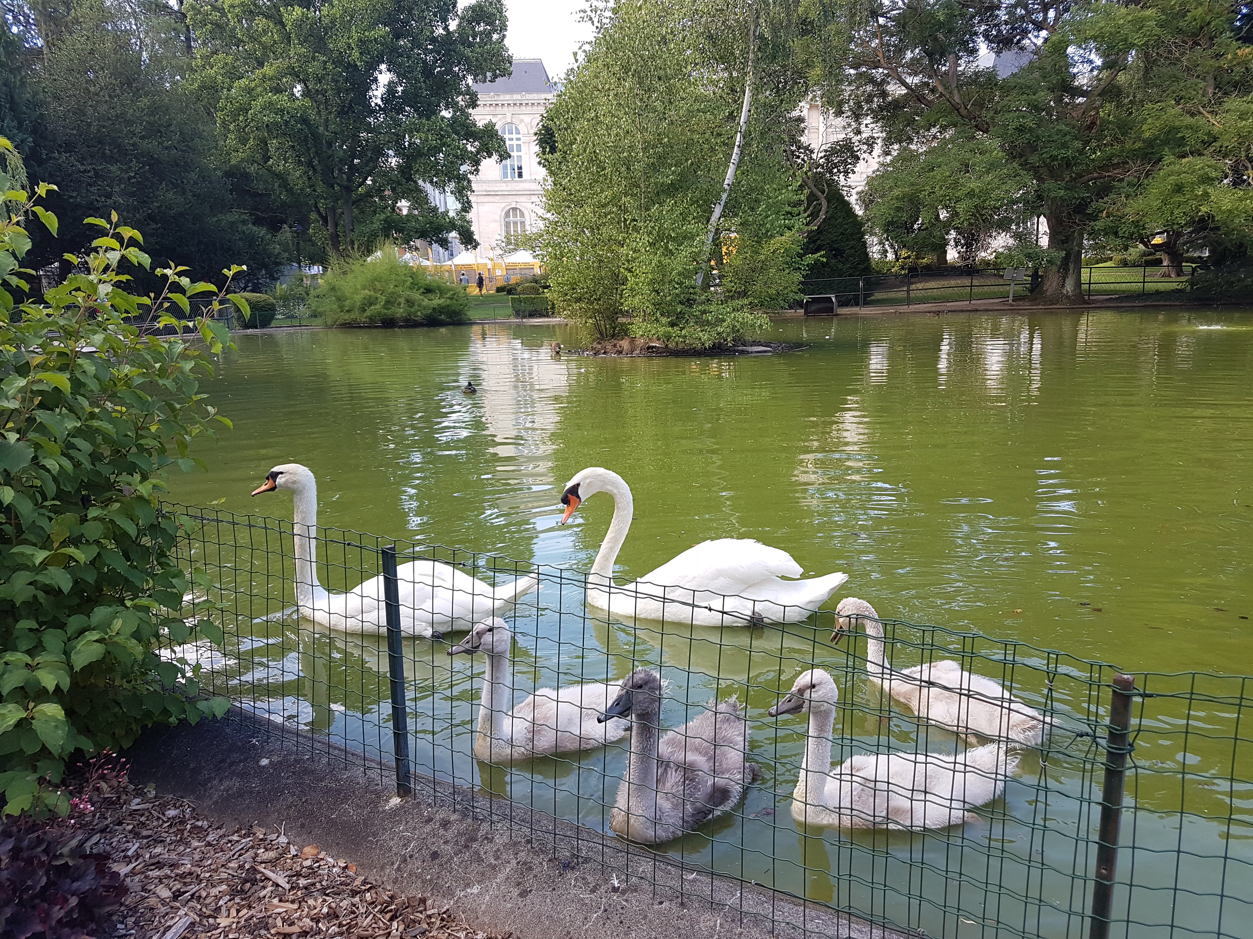 Photo n° 10 de l'avis de Elisabeth.O fait le 18/07/2017 à 21:32