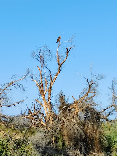 Nature Preserve «Cave Buttes Recreation Area», reviews and photos, N 7th St & E Happy Valley Rd, Phoenix, AZ 85024, USA
