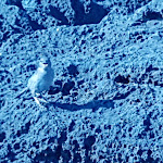 Photo n°3 de l'avis de Rebecco.r fait le 07/07/2019 à 15:18 sur le  Hotel Rosignano Sas à Rosignano Solvay