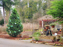 Liz Pike Art Gallery - Photo 3 - Car repair in Camas, WA, Vancouver