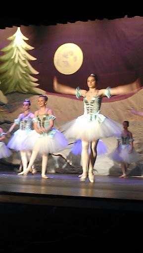 Performing Arts Theater «Theatre Dublin», reviews and photos, 314 Academy Ave, Dublin, GA 31021, USA