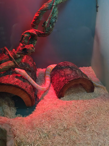 Pet Supply Store «Pet Supplies Plus», reviews and photos, 1354 Ety Rd NW, Lancaster, OH 43130, USA