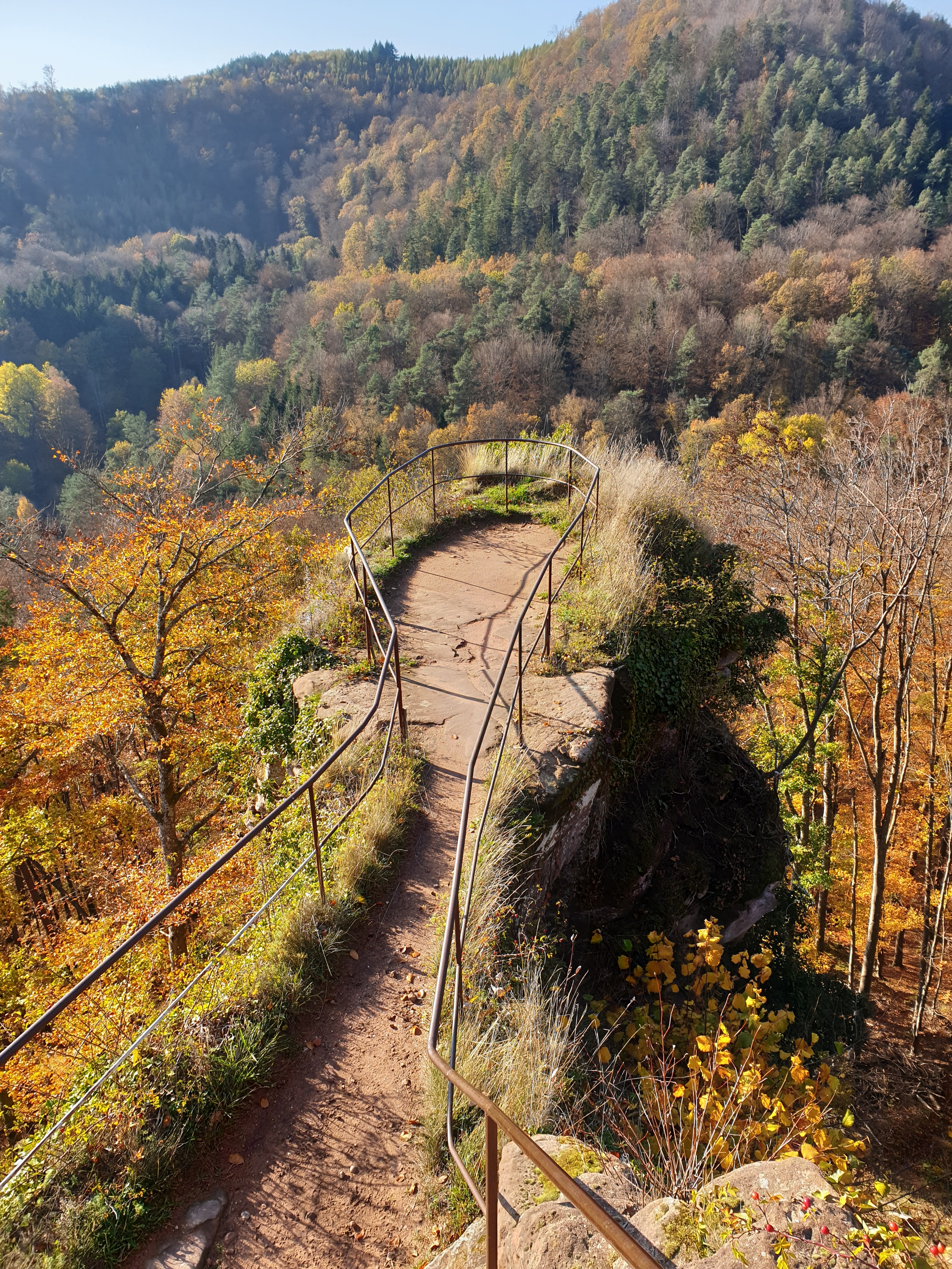 Photo n° 1 de l'avis de Karin.t fait le 15/11/2020 à 18:30