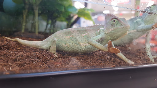 Pet Supply Store «Petco Animal Supplies», reviews and photos, 5239 Harvey St, Norton Shores, MI 49444, USA